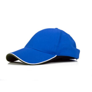 Alternative view of Baseball